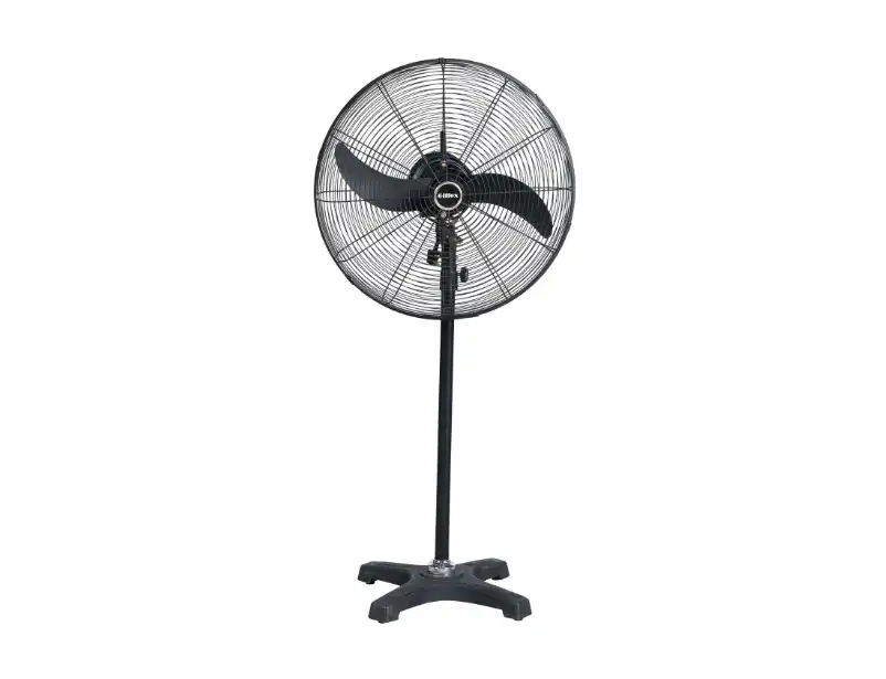 Stand Fan