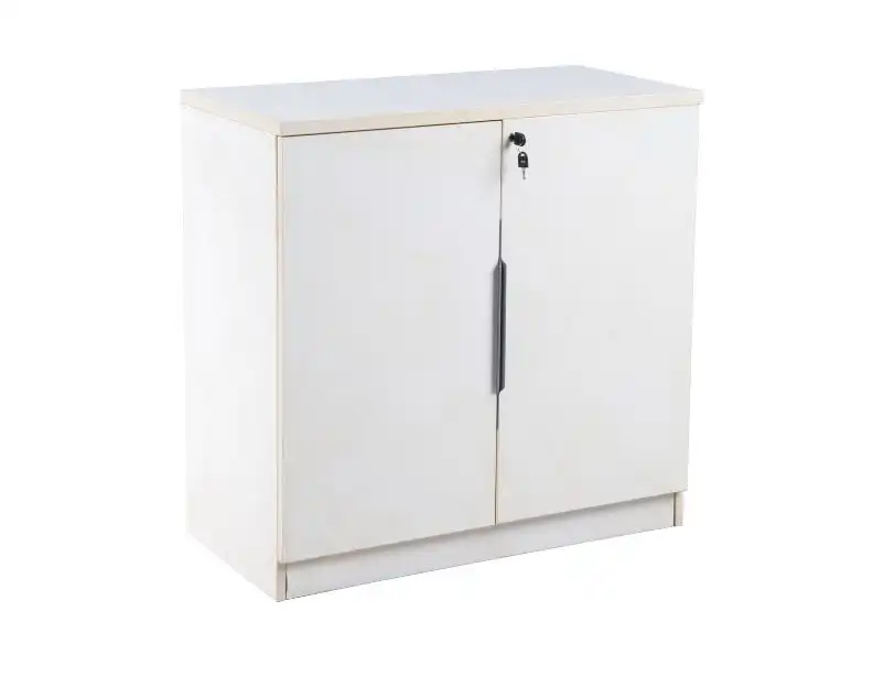 Cabinet - 2 Door for rent