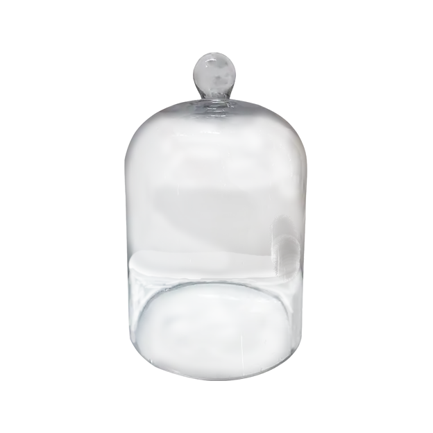 Bell Jar Glass Dome for rent