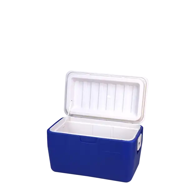 Cooler Box 157L for rent