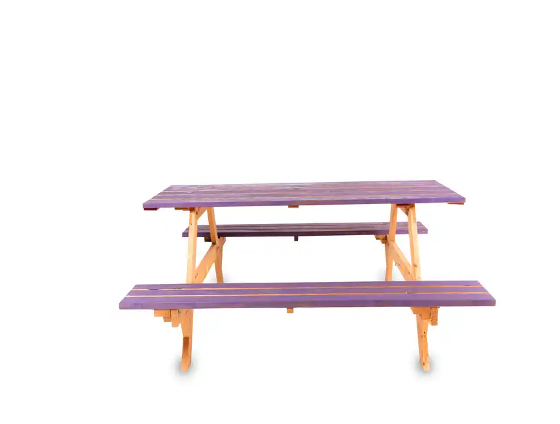 Picnic Table - Purple