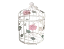 Small Decorative Bird Cage