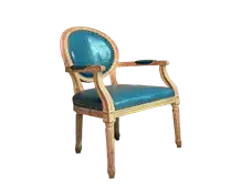 Dior Dining Chair with Arm-Aqua Seat