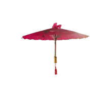Chinese Pink Umbrella